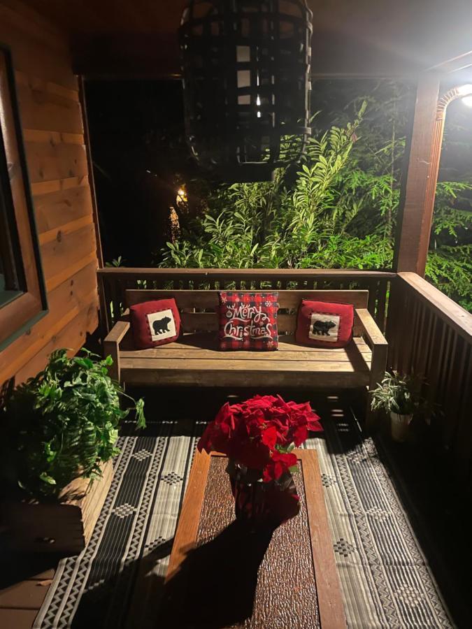 Cozy Creekfront Family Cabin-Pet Friendly -Gamerm-Hot Tub Hiawassee Eksteriør billede
